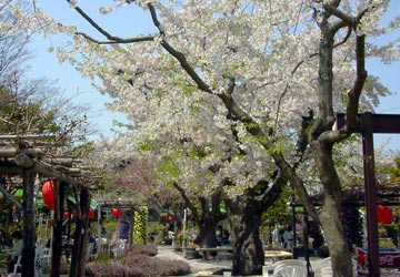 ���M�����쉷��E�G�y���̍�2