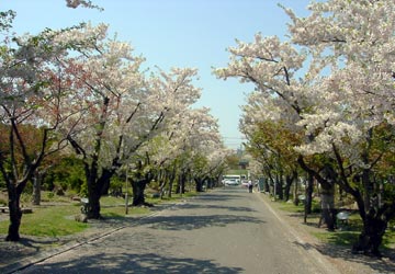 ���M�����쉷��E�G�y���̍�3