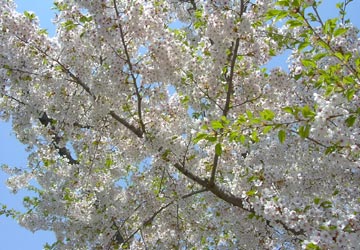 ���M�����쉷��E�G�y���̍�4