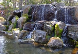 ���M�����쉷��E�G�y���̍�10