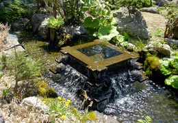 ���M�����쉷��E�G�y���̍�11