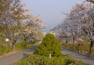 ��{�����̍�1