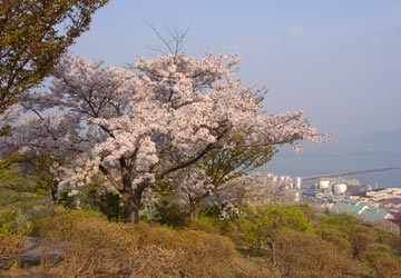 ��{�����̍�2