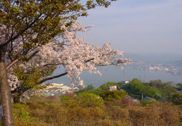 ��{�����̍�3