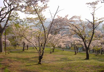 ��{�����̍�8