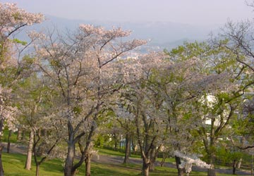 ��{�����̍�9