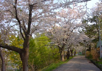 ���M�����̍�1