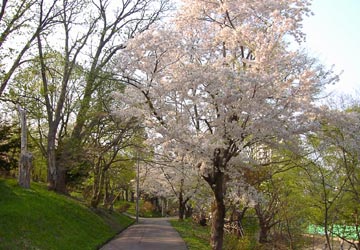 ���M�����̍�2