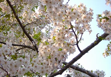 ���M�����̍�3