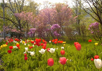 ���M�����̍�14