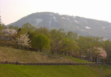 ���M�����̍�19