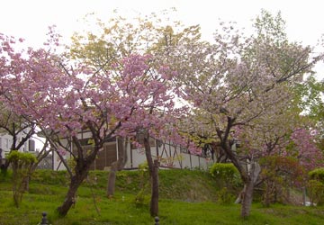 ���M�����|����̍�2