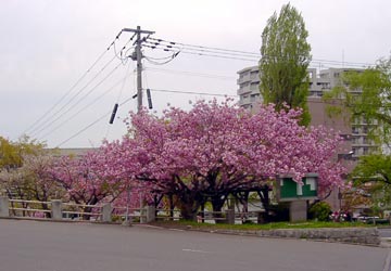 ���M�����|����̍�3