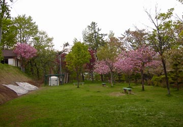 ���M�����|����̍�5