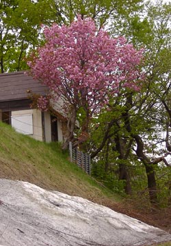 ���M�����|����̍�6