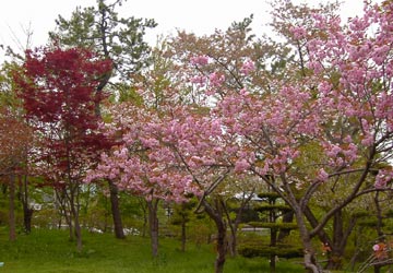 ���M�����|����̍�7