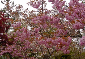 ���M�����|����̍�8