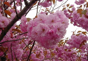 ���M�����|����̍�12