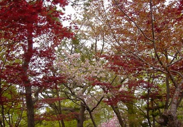 ���M�����|����̍�14