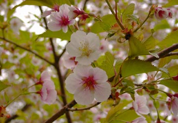 ���M�����|����̍�16