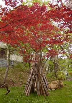 ���M�����|����̍�17