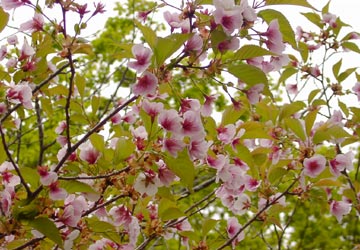 ���M�����|����̍�18