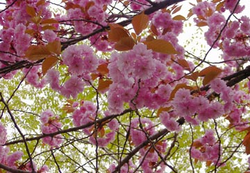 ���M�����|����̍�19