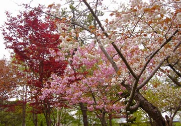 ���M�����|����̍�20