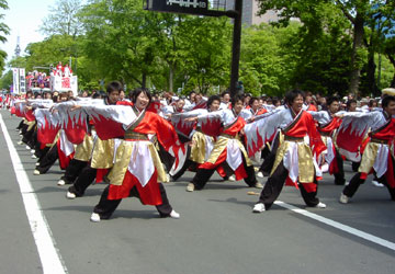 YOSAKOIソーラン祭り13 YOSAKOIソーラン祭り13