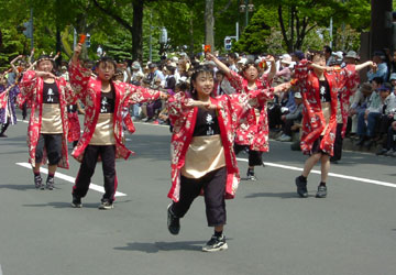 YOSAKOI�\�[�����Ղ�24