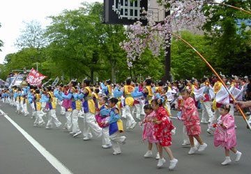 YOSAKOI�\�[�����Ղ�43