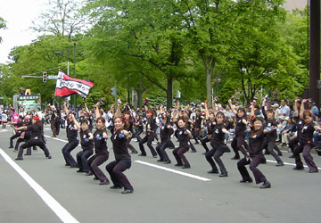 YOSAKOI�\�[�����Ղ�46