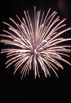 �L����ǔ��ԉΑ��14