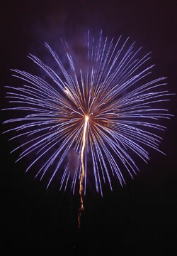 �E�C���O�x�C���M�I�[�V�����Y�f�C�ԉΑ��2