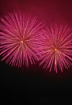 �E�C���O�x�C���M�I�[�V�����Y�f�C�ԉΑ��5