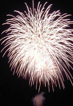 �E�C���O�x�C���M�I�[�V�����Y�f�C�ԉΑ��8