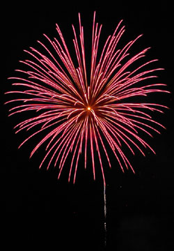 �E�C���O�x�C���M�I�[�V�����Y�f�C�ԉΑ��9