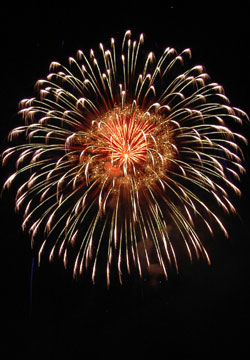 �E�C���O�x�C���M�I�[�V�����Y�f�C�ԉΑ��13