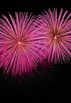 �E�C���O�x�C���M�I�[�V�����Y�f�C�ԉΑ��41