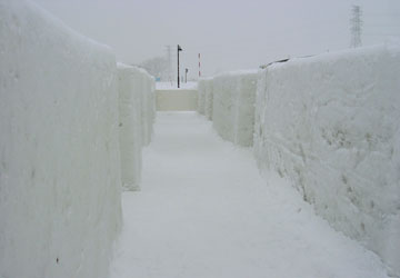 2007�N�����ۂ��܂�u���Ƃ��ǉ��v5