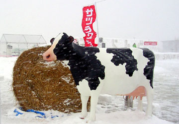 2007�N�����ۂ��܂�u���Ƃ��ǉ��v13