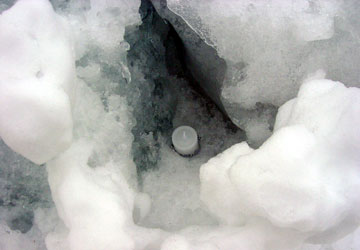 ��{�����i����1�j2