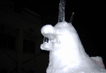 ��{�����i����2�j19