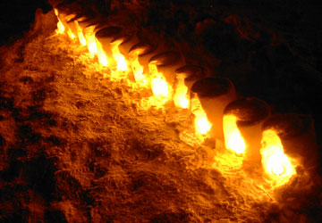 ��{�����i����4�j20