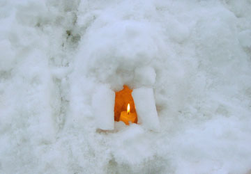 ��{�����i����4�j29