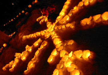 ��{�����i����5�j3