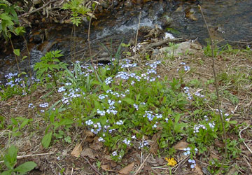 �k�C���̖Y��ȑ�14