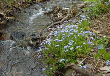 �k�C���̖Y��ȑ�15