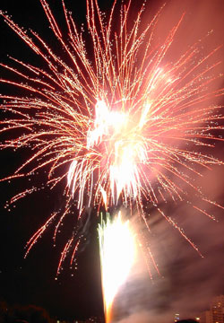 2007�N�D�y�L����ԉΑ��i���V�EUHB�ԉΑ��j31