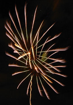 2007�N�D�y�L����ԉΑ��i���V�EUHB�ԉΑ��j32